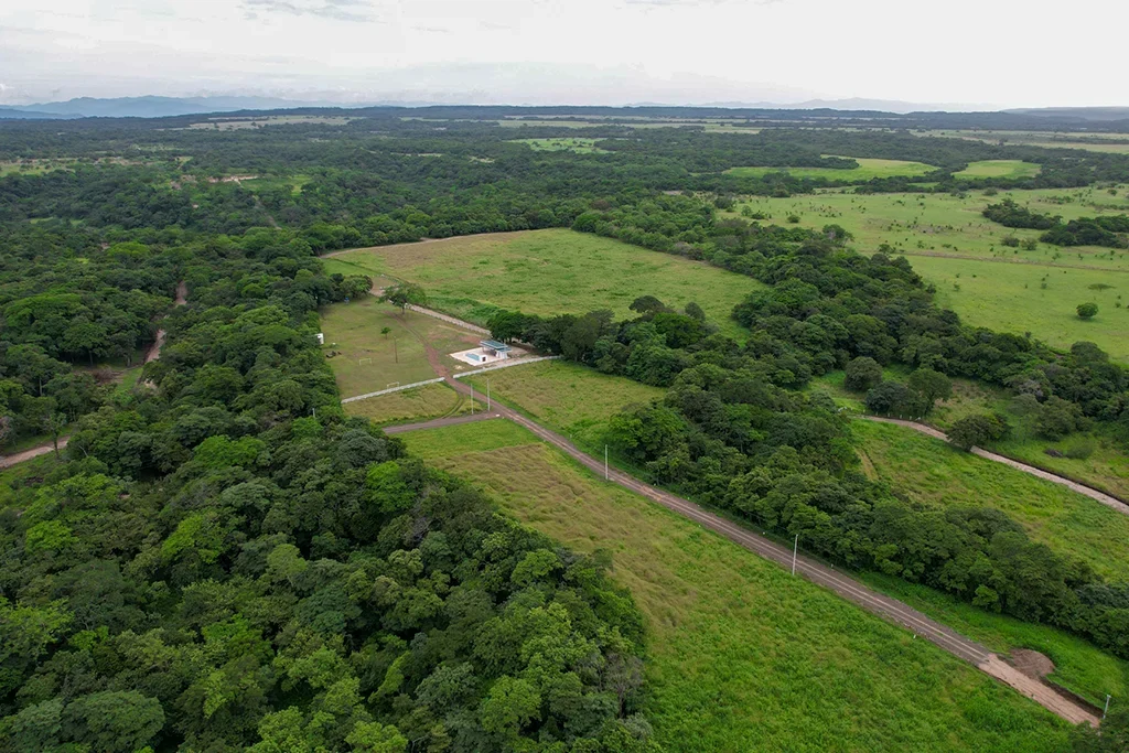 20 años impulsando el desarrollo inmobiliario en Guanacaste