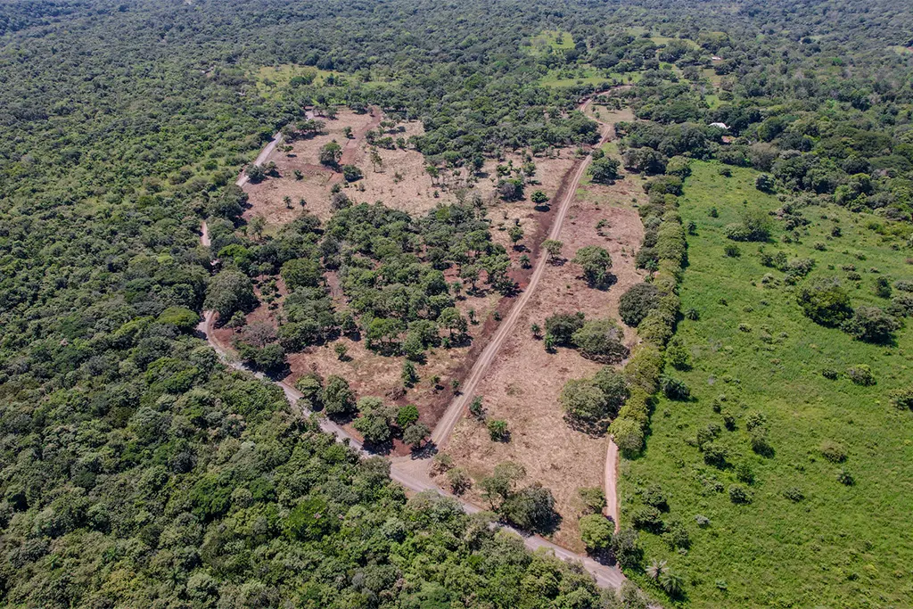 Lotes cerca del Aeropuerto