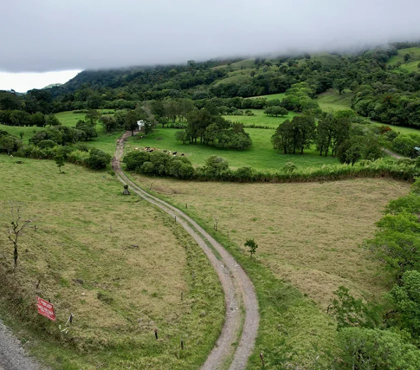 Monteverde – Una opción exclusiva