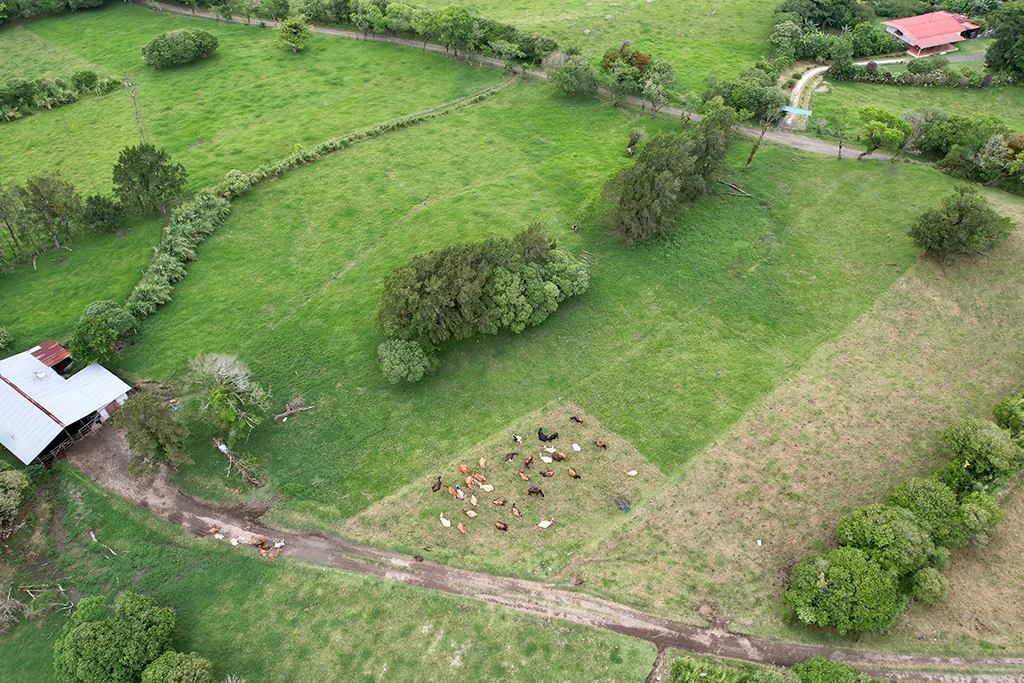 Por qué elegir Monteverde para tu hogar