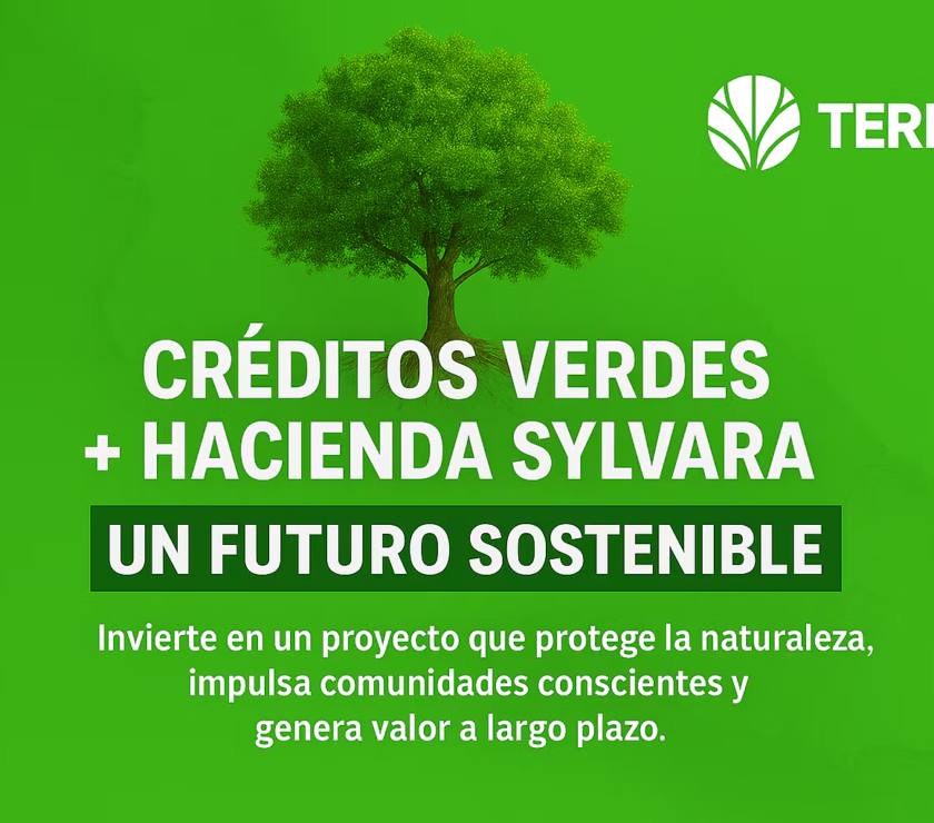 imagen_2025-09-30_111244830