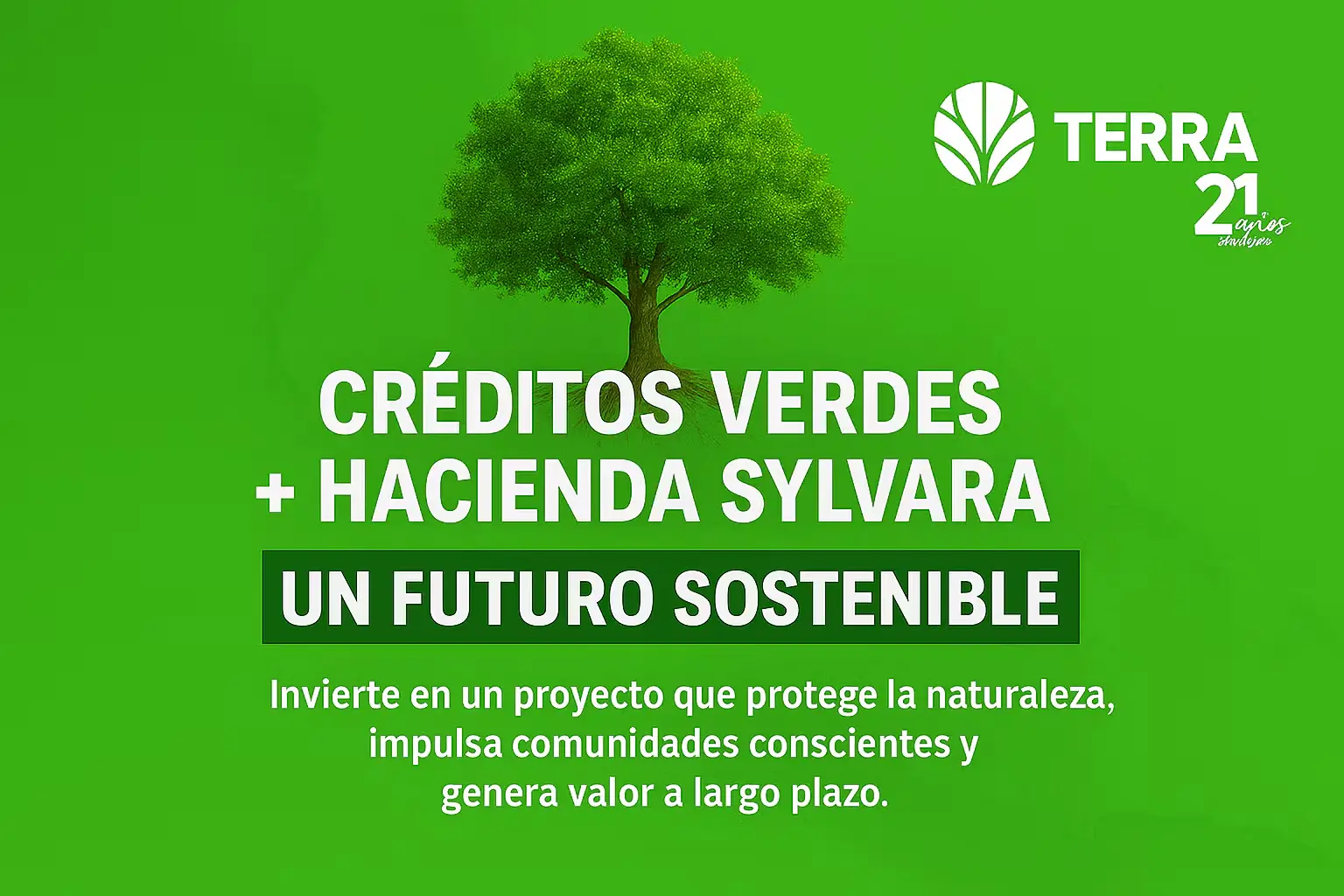 Imagen 2025 09 30 111244830