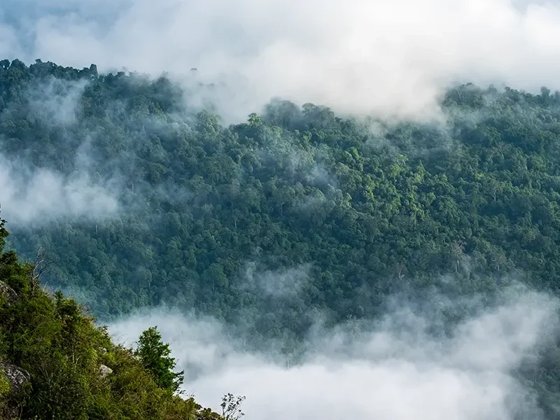 abundante biodiversidad 2