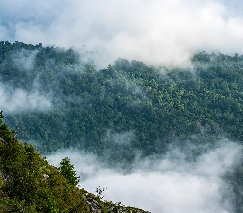 abundante biodiversidad 2