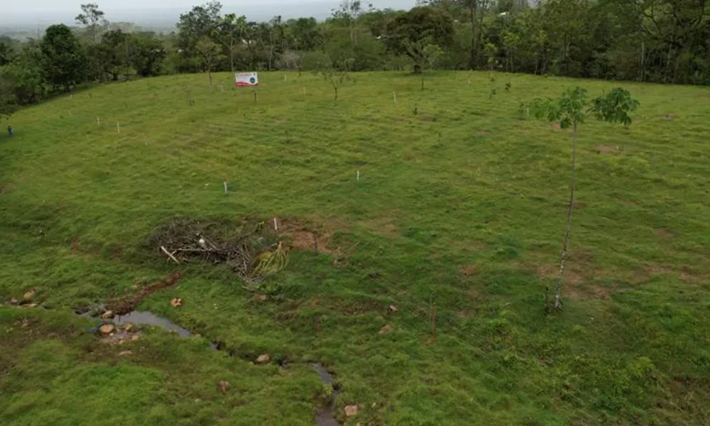 destacada hacienda rio celeste