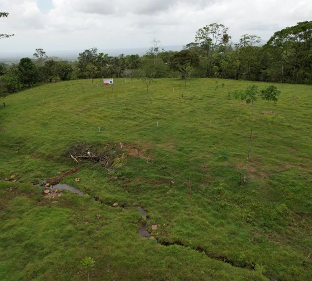 destacada hacienda rio celeste