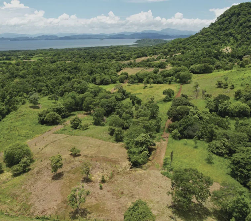 imagen_2026-01-06_104706298