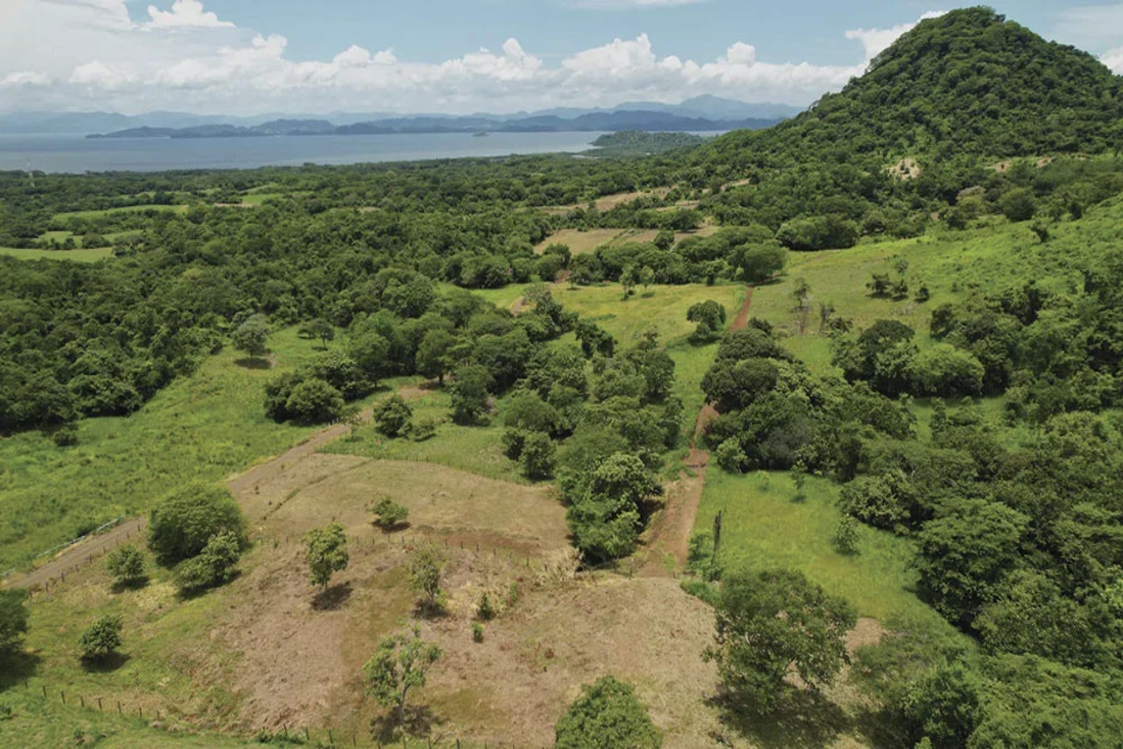 imagen_2026-01-06_104706298