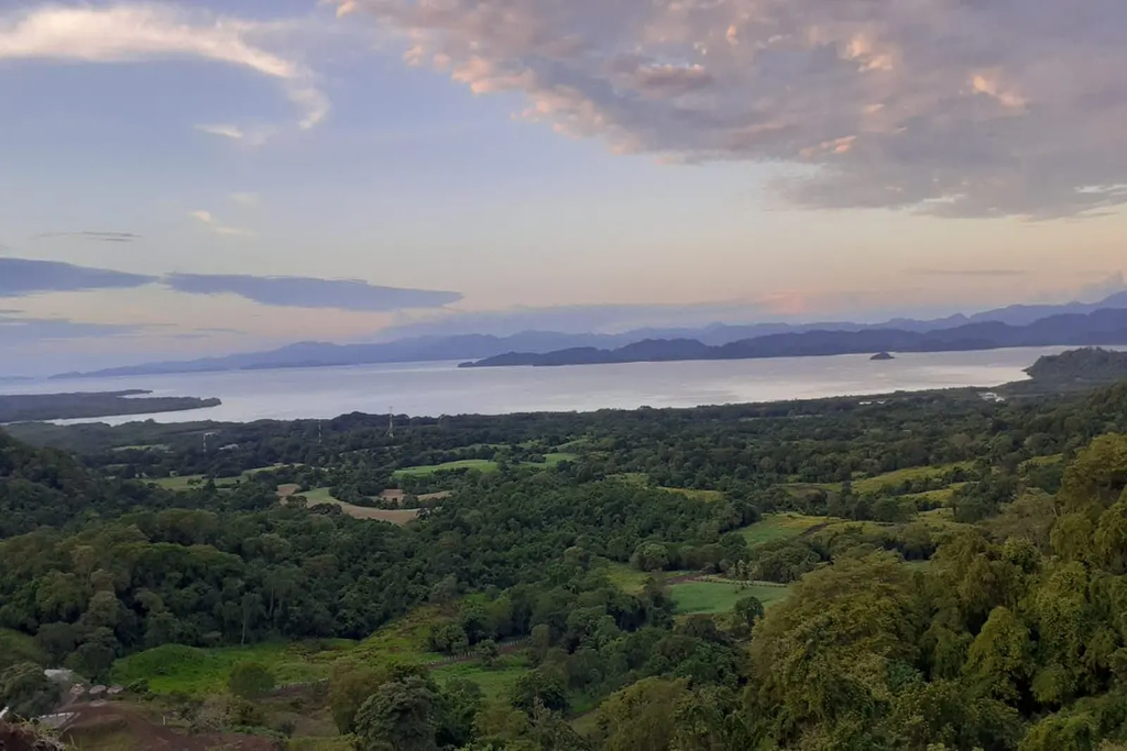 imagen_2026-01-06_114625882