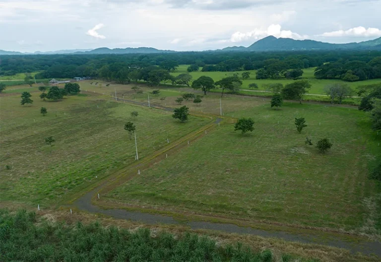 imagen 2026 01 23 160630092