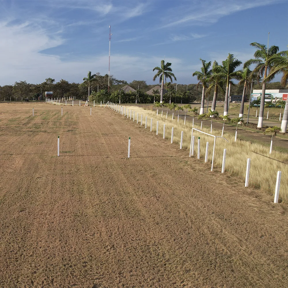 imagen 2026 01 23 160658611