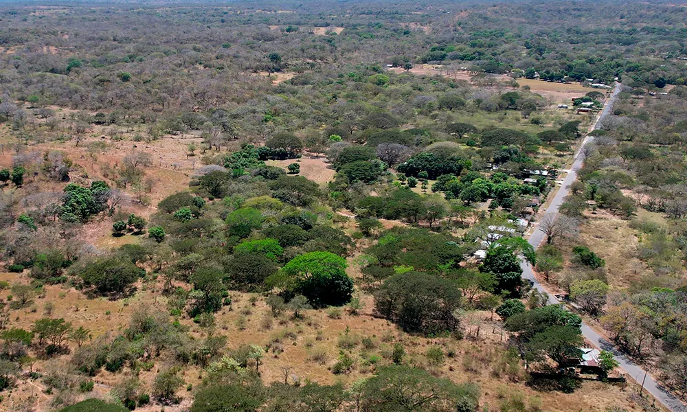 imagen 2026 01 23 160736663