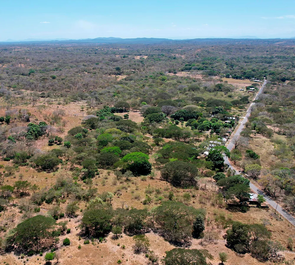 imagen 2026 01 23 160736663