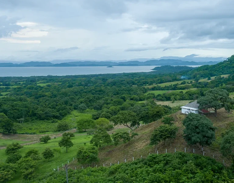 Vista Real Hills imagen 2026 01 23 160856711