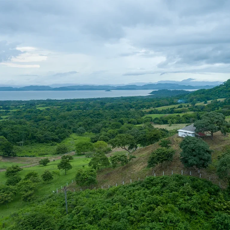 imagen 2026 01 23 160856711