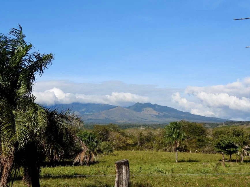 imagen 2026 01 23 160957255