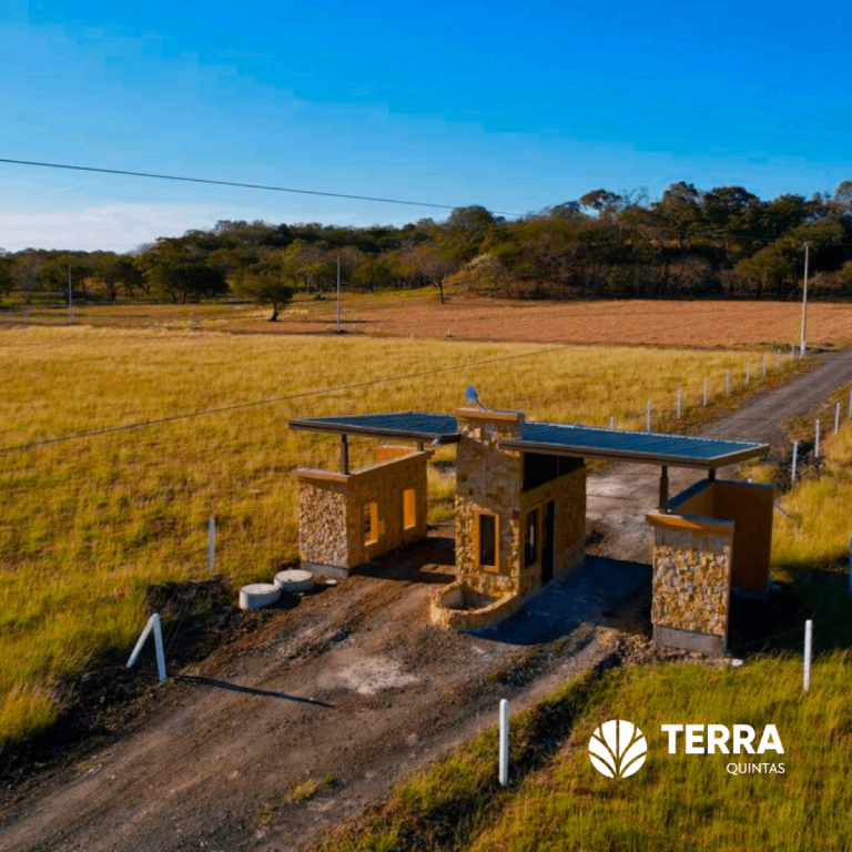 imagen 2026 02 26 124200234