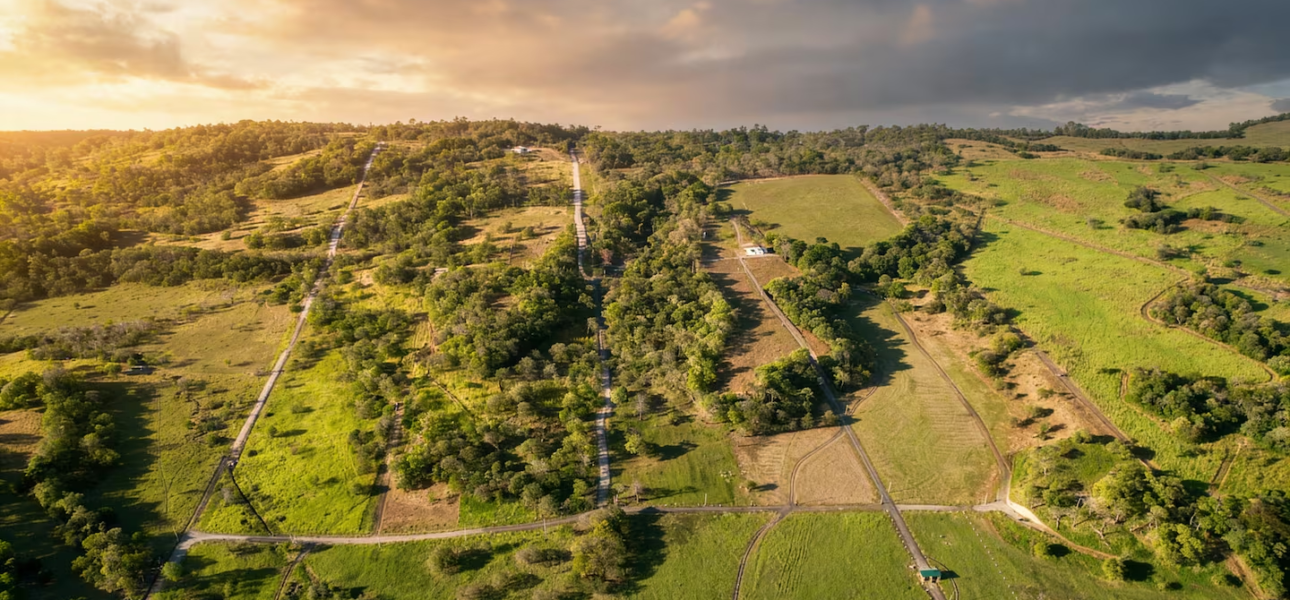 imagen 2026 03 20 143838642