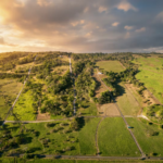 imagen 2026 03 20 143838642