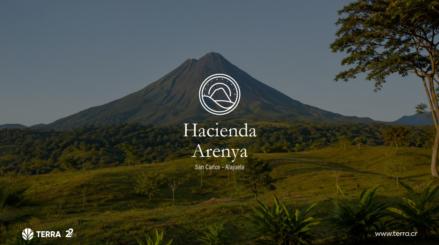 Hacienda Arenya screenshot 2026 10 08 162551
