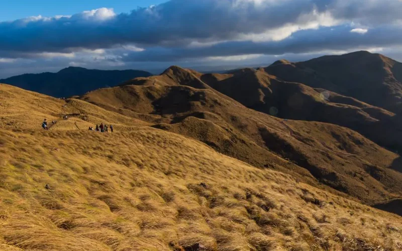 Cerro Pelado