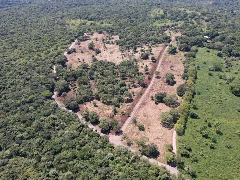 Galería - Hacienda Rincón de la Vieja (14)