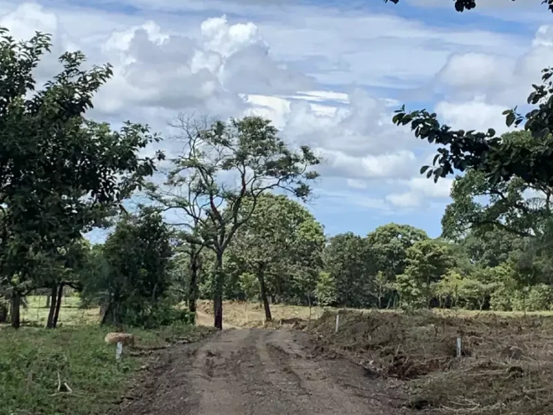 Galería - Hacienda Rincón de la Vieja (21)