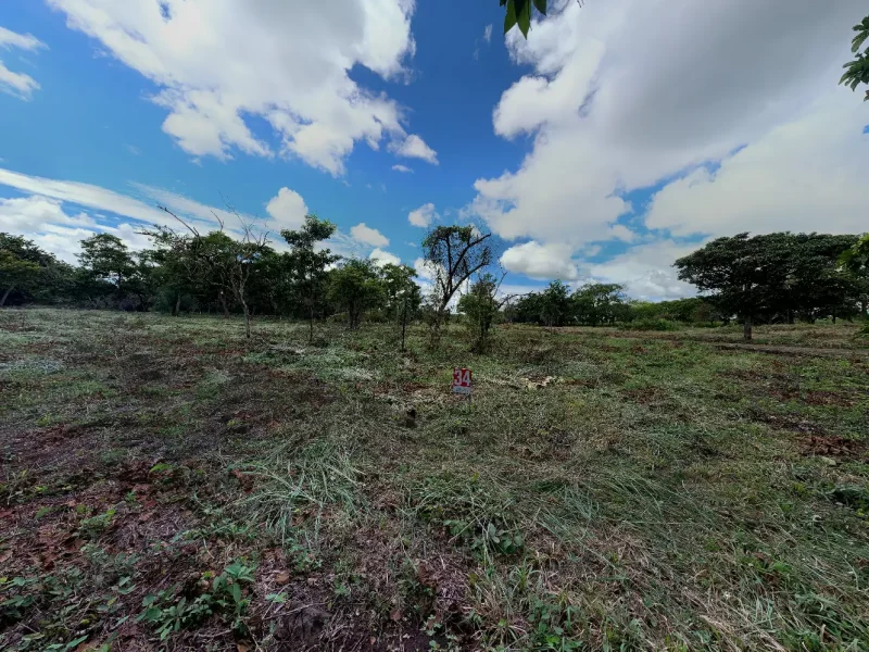 Galería - Hacienda Rincón de la Vieja (22)