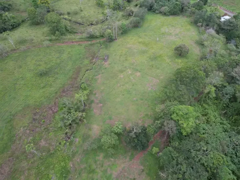 Galería Hacienda Río Celeste (1)