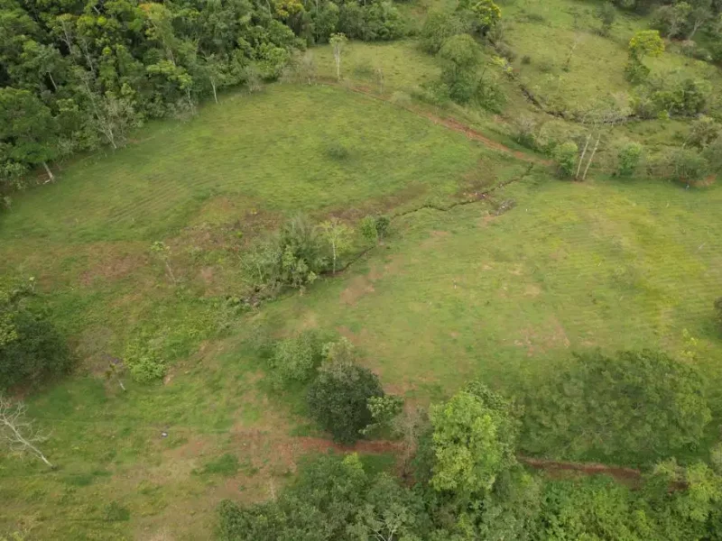 Galería Hacienda Río Celeste (11)