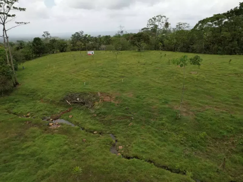 Galería Hacienda Río Celeste (12)