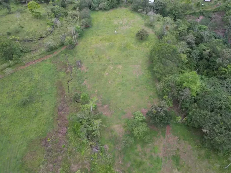 Galería Hacienda Río Celeste (5)