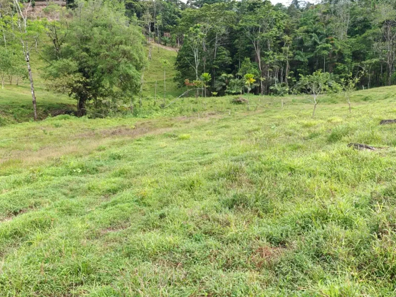 Galería Hacienda Río Celeste (8)