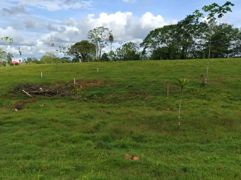 Galería Hacienda Río Celeste (9)