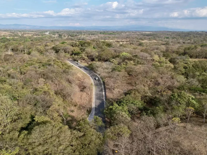 Galería Vista Cortés (2)